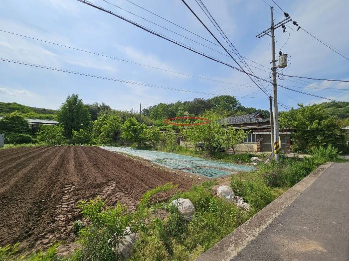 2024타경1084 법원경매 사진2 | 경남 함안군 대지 경매