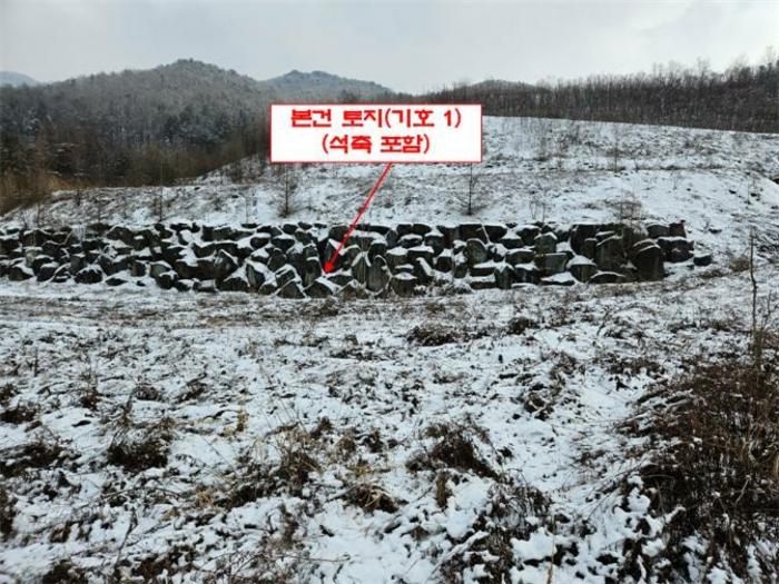 법원경매 2024타경56725 사진10 | 홍천군 서면 대곡리 임야 경매