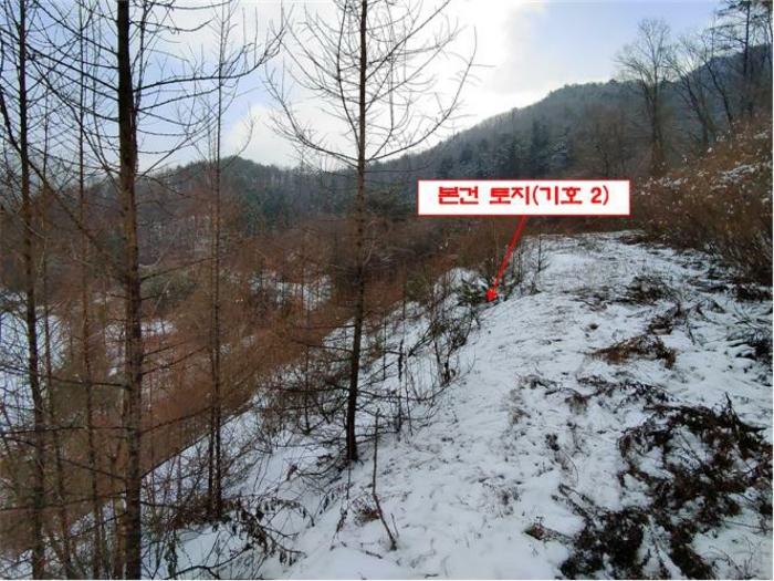 법원경매 2024타경56725 사진13 | 홍천군 서면 대곡리 임야 경매