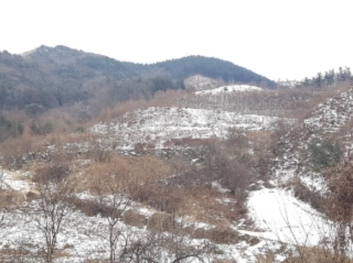법원경매 2024타경56725 사진18 | 홍천군 서면 대곡리 임야 경매