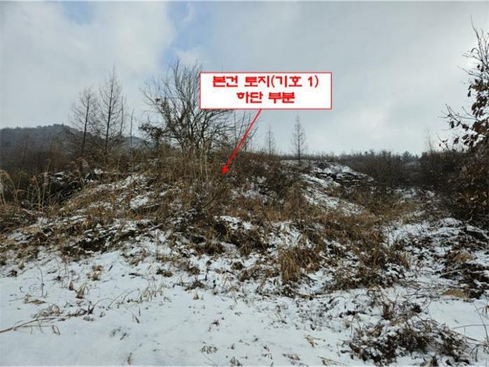 법원경매 2024타경56725 사진2 | 홍천군 서면 대곡리 임야 경매