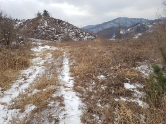 법원경매 2024타경56725 사진22 | 홍천군 서면 대곡리 임야 경매