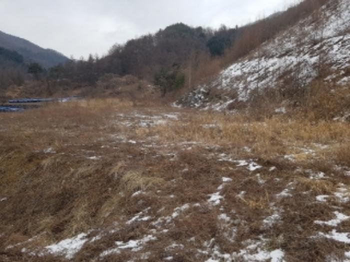 법원경매 2024타경56725 사진24 | 홍천군 서면 대곡리 임야 경매