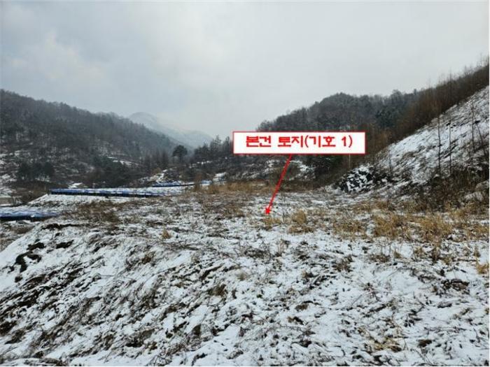 법원경매 2024타경56725 사진3 | 홍천군 서면 대곡리 임야 경매