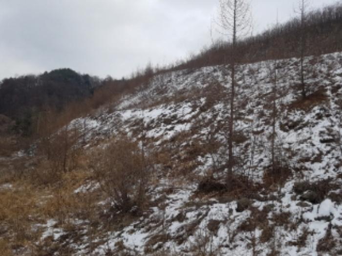법원경매 2024타경56725 사진30 | 홍천군 서면 대곡리 임야 경매