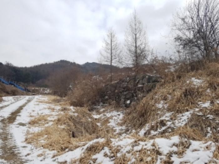 법원경매 2024타경56725 사진33 | 홍천군 서면 대곡리 임야 경매