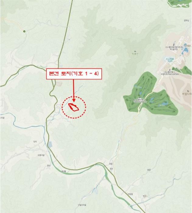 법원경매 2024타경56725 사진37 | 홍천군 서면 대곡리 임야 경매
