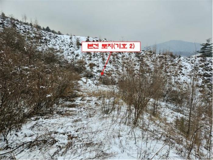 법원경매 2024타경56725 사진5 | 홍천군 서면 대곡리 임야 경매