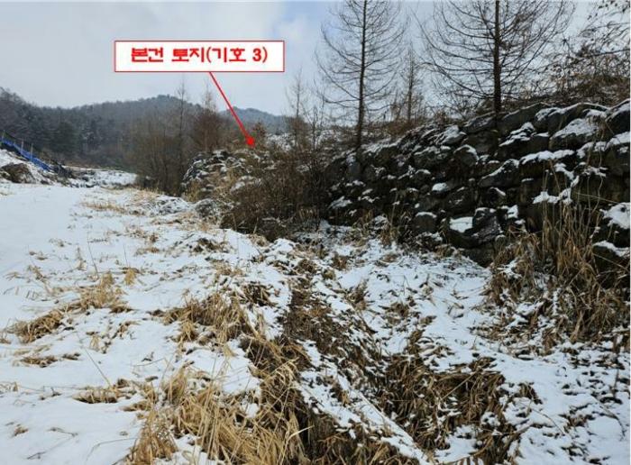 법원경매 2024타경56725 사진6 | 홍천군 서면 대곡리 임야 경매