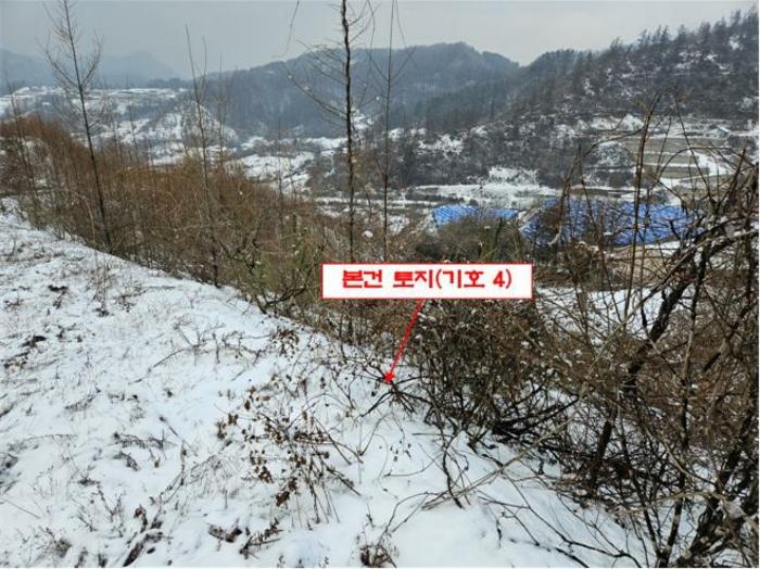 법원경매 2024타경56725 사진7 | 홍천군 서면 대곡리 임야 경매