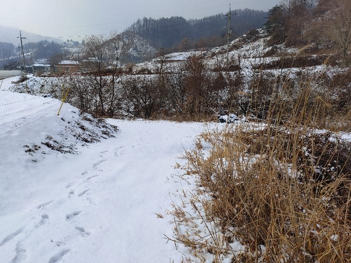 법원경매 2024타경56725 사진8 | 홍천군 서면 대곡리 임야 경매