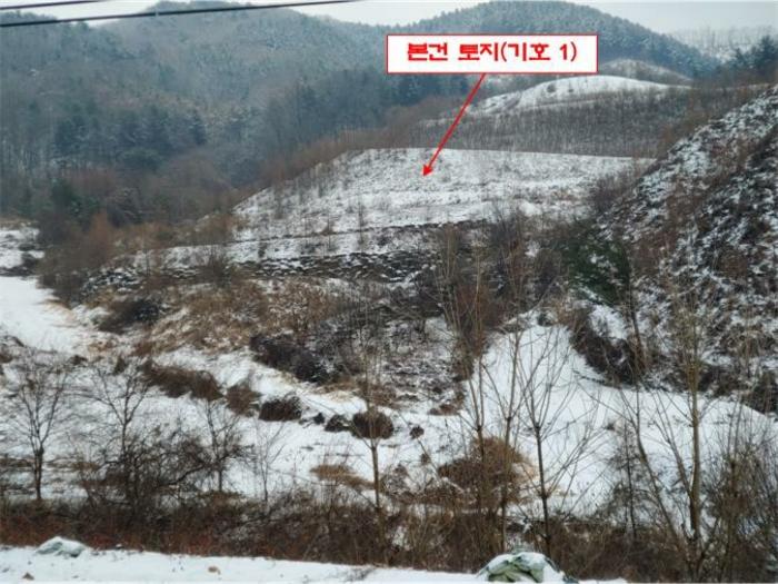 법원경매 2024타경56725 사진9 | 홍천군 서면 대곡리 임야 경매
