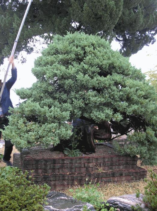 법원경매 2024타경5346 사진3 | 광양시 봉강면 지곡리 679 주택건물 경매