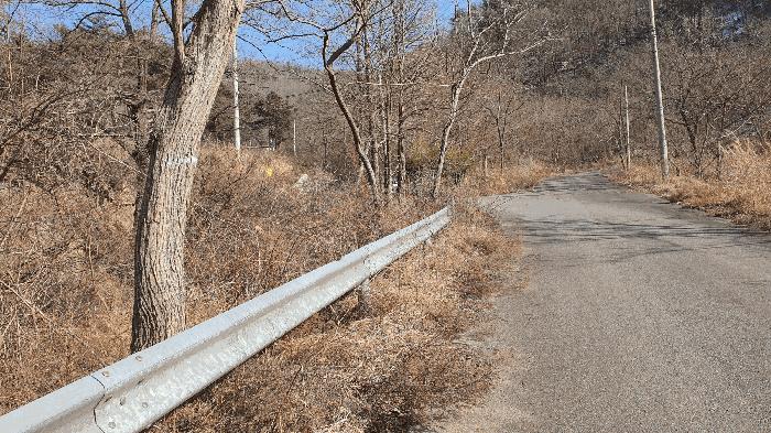 2025타경287 법원경매 사진16 | 전남 보성군 임야 경매