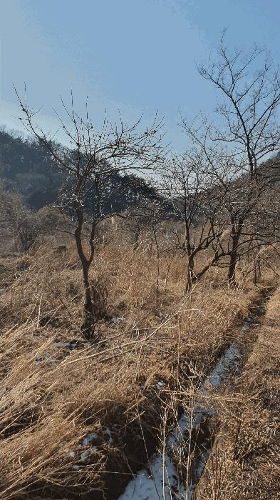 2025타경287 법원경매 사진17 | 전남 보성군 임야 경매