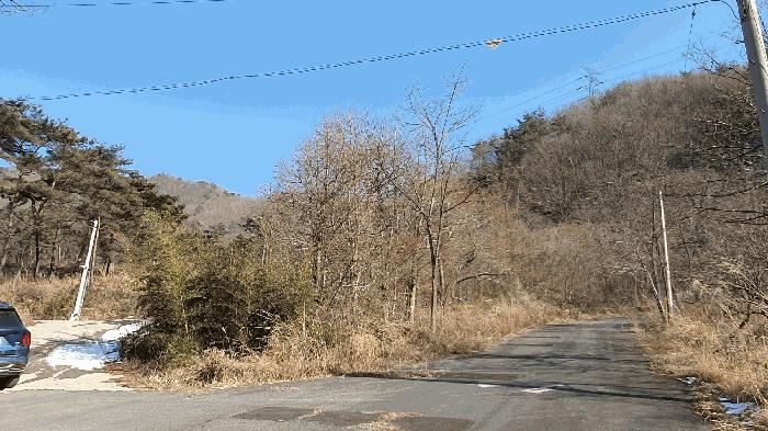 2025타경287 법원경매 사진2 | 전남 보성군 임야 경매