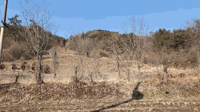 2025타경287 법원경매 사진20 | 전남 보성군 임야 경매