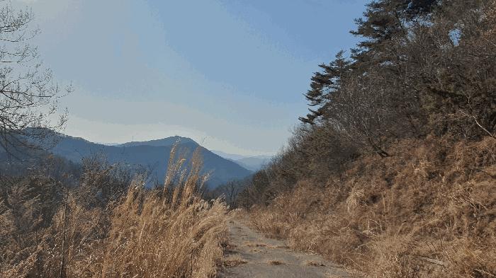 2025타경287 법원경매 사진27 | 전남 보성군 임야 경매