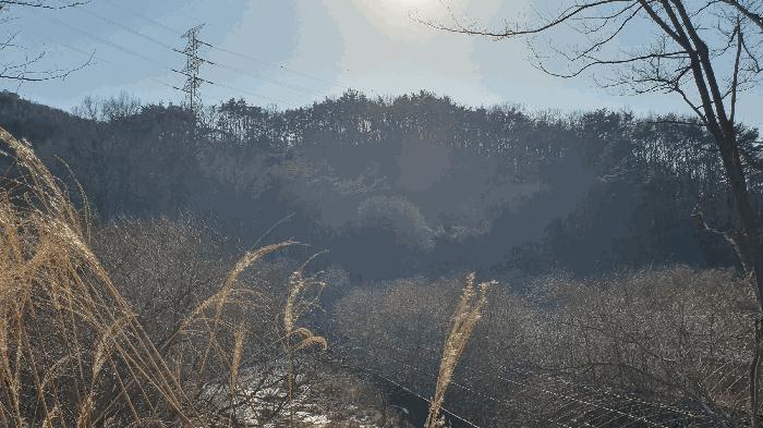 2025타경287 법원경매 사진30 | 전남 보성군 임야 경매