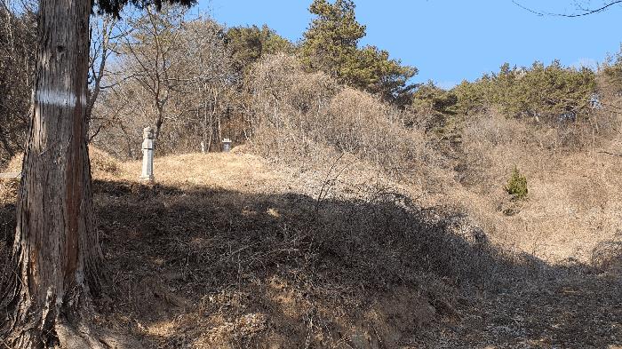 2025타경287 법원경매 사진33 | 전남 보성군 임야 경매