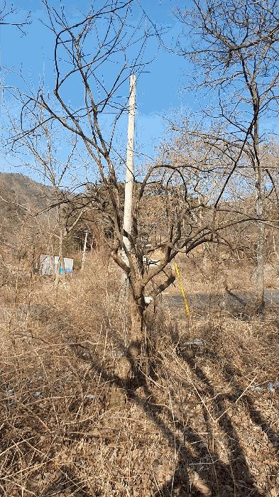 2025타경287 법원경매 사진36 | 전남 보성군 임야 경매