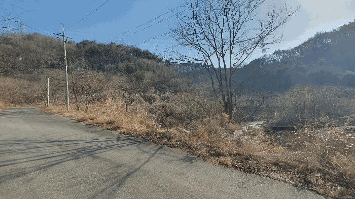 2025타경287 법원경매 사진4 | 전남 보성군 임야 경매