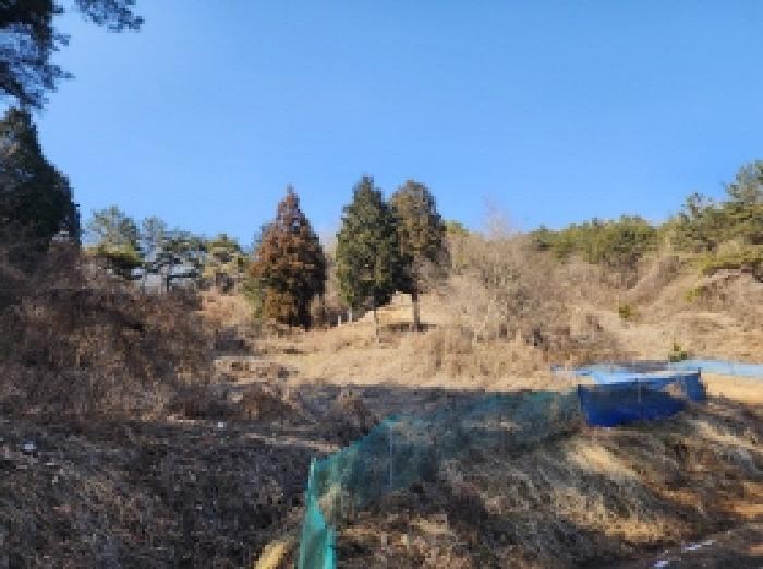 2025타경287 법원경매 사진42 | 전남 보성군 임야 경매