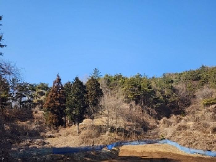 2025타경287 법원경매 사진43 | 전남 보성군 임야 경매
