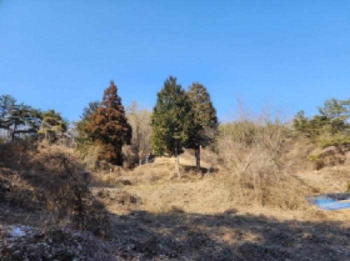 2025타경287 법원경매 사진44 | 전남 보성군 임야 경매