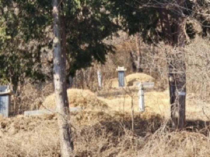 2025타경287 법원경매 사진45 | 전남 보성군 임야 경매
