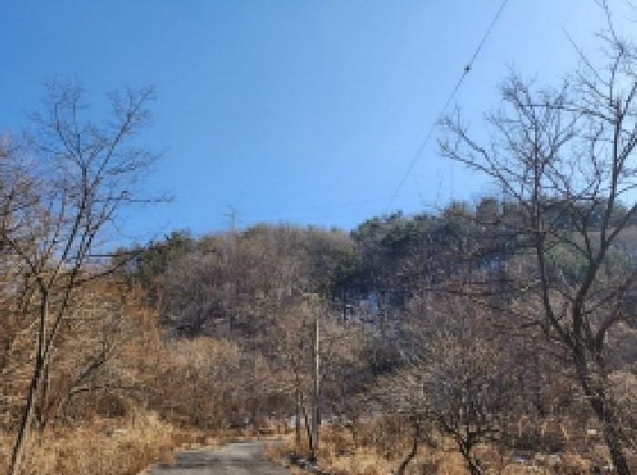 2025타경287 법원경매 사진46 | 전남 보성군 임야 경매