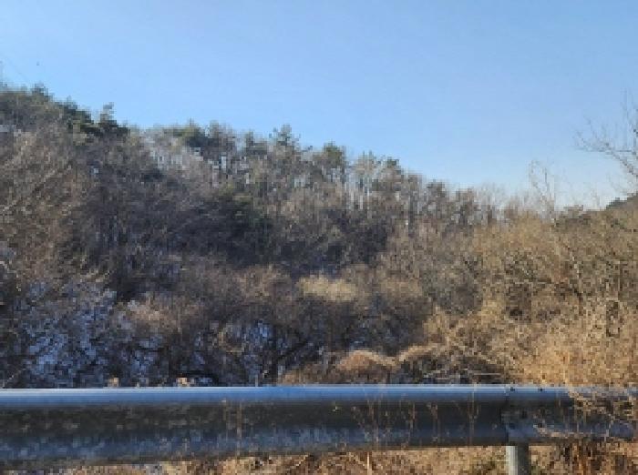 2025타경287 법원경매 사진49 | 전남 보성군 임야 경매