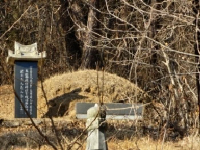 2025타경287 법원경매 사진52 | 전남 보성군 임야 경매