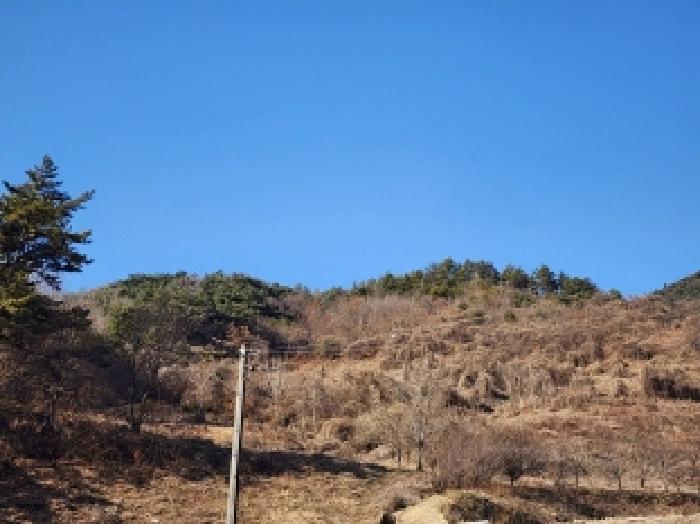 2025타경287 법원경매 사진53 | 전남 보성군 임야 경매