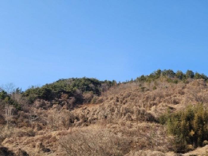 2025타경287 법원경매 사진54 | 전남 보성군 임야 경매