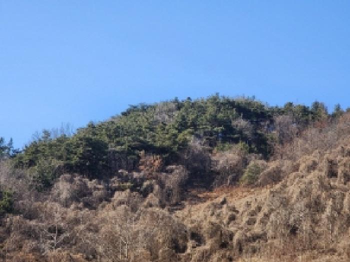 2025타경287 법원경매 사진55 | 전남 보성군 임야 경매