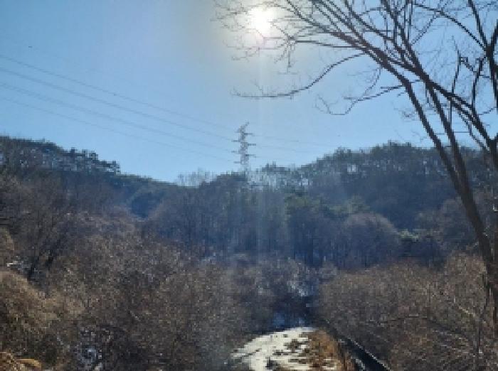 2025타경287 법원경매 사진59 | 전남 보성군 임야 경매