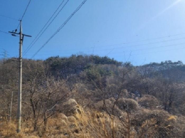 2025타경287 법원경매 사진61 | 전남 보성군 임야 경매