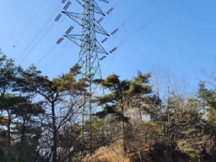 2025타경287 법원경매 사진64 | 전남 보성군 임야 경매