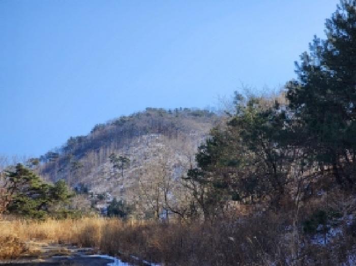 2025타경287 법원경매 사진67 | 전남 보성군 임야 경매
