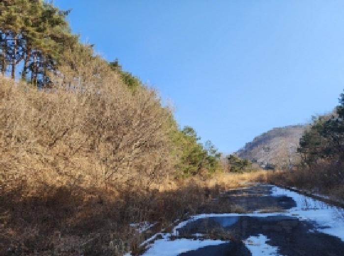 2025타경287 법원경매 사진68 | 전남 보성군 임야 경매