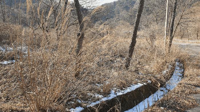 2025타경287 법원경매 사진7 | 전남 보성군 임야 경매