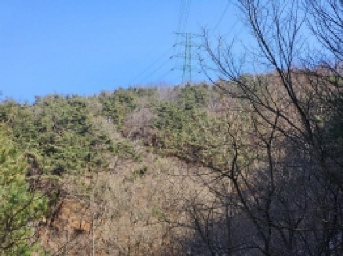 2025타경287 법원경매 사진72 | 전남 보성군 임야 경매