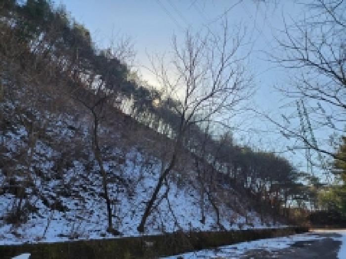2025타경287 법원경매 사진75 | 전남 보성군 임야 경매