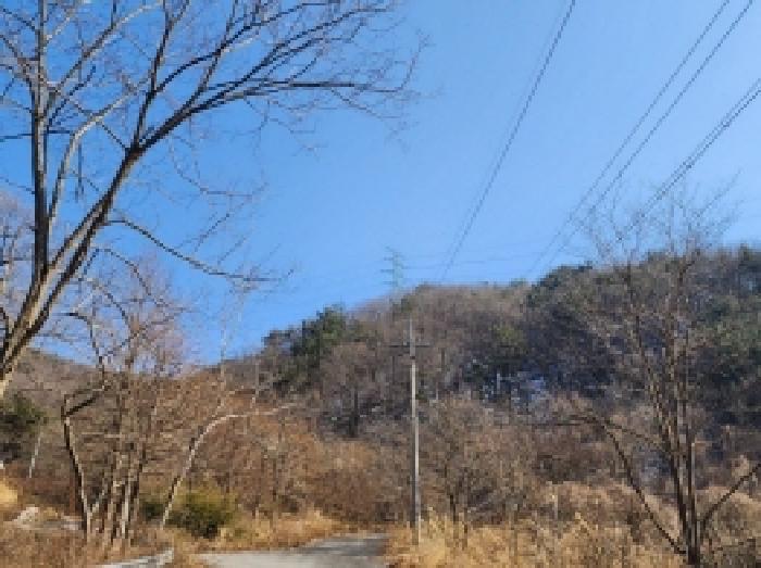 2025타경287 법원경매 사진76 | 전남 보성군 임야 경매