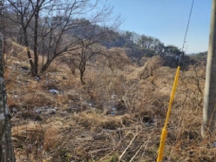 2025타경287 법원경매 사진77 | 전남 보성군 임야 경매