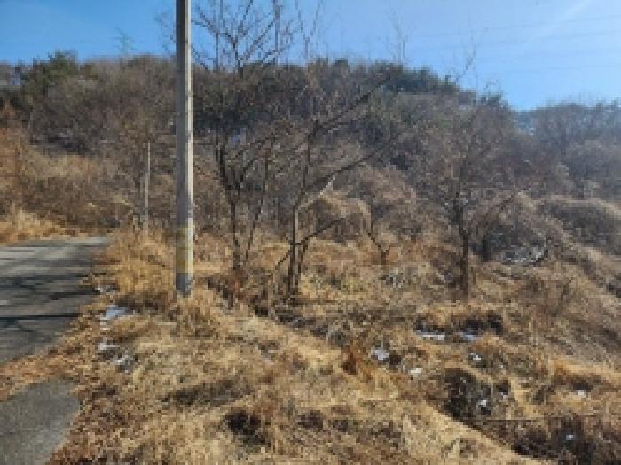 2025타경287 법원경매 사진78 | 전남 보성군 임야 경매