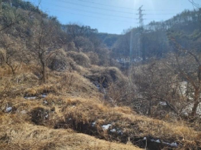 2025타경287 법원경매 사진79 | 전남 보성군 임야 경매