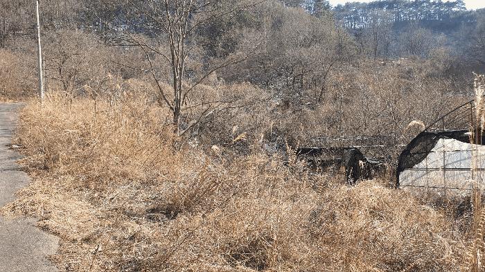 2025타경287 법원경매 사진8 | 전남 보성군 임야 경매