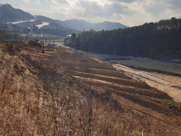 법원경매 2022타경202243 사진6 | 평창군 대관령면 용산리 임야 경매